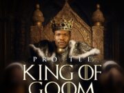 PRO-TEE – UZOCNCENGWA ULOYISO.