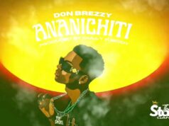 Don breezy – Ananichiti