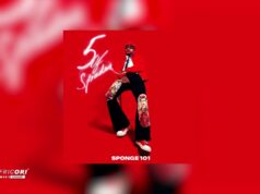 Sponge 101 Ft DBN Gogo & Msongi – Bazozwa