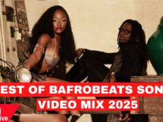 Best Of 2025 Afrobeats Songs Mix By Dj Perez Afrobeat Party Mix,Hits Only Ft Ayra Starr
