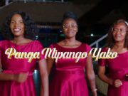 Msanii Music Group – Panga Mipango Yako