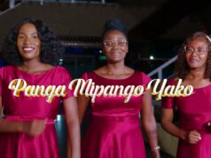 Msanii Music Group – Panga Mipango Yako