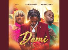 SantyXmood – Dami (Remix) Ft David Lutalo & Liya