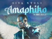 Siya Ntuli Ft Big Zulu – Amaphiko Siya Ntuli Ft Big Zulu - Amaphiko