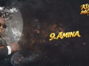 Kidene Fighter – Amina Kidene Fighter - Amina