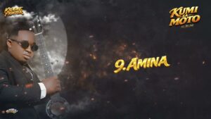 Kidene Fighter - Amina