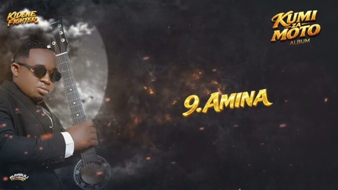 Kidene Fighter - Amina