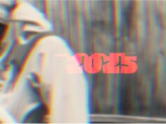 Dizasta Vina – 2025 Dizasta Vina - 2025