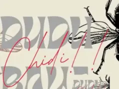 Dudu Baya – Chidi (Diss Track) Dudu Baya - Chidi (Diss Track)