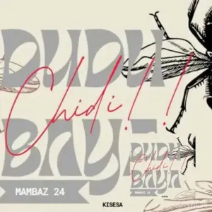 Dudu Baya - Chidi (Diss Track)