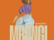 Dudu Baya Ft Damian Soul – Mbungi