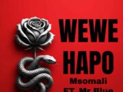 Msomali Ft Mr Blue – Wewe Hapo Msomali Ft Mr Blue - Wewe Hapo