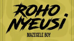 Mazegele Boy - Roho nyeusi
