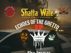 Shatta Wale – Worldwide Whine