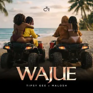 Tipsy Gee - Wajue Ft Malosh