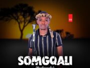 Somgqali – Usizi Lukamahlalela ft. Sphe Mkhize