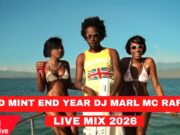 CLUB BANGERS PARTY MIX AT ICED MINT END YEAR MIX BY DJ MARL MC RAFELL FT DANCEHALL & KENYAN BANGERS