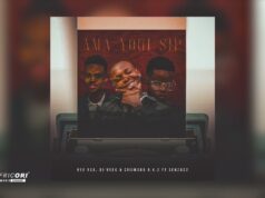 VeeRSA, Dj Veek & Criimora b.k.z – Ama Yogi Sip Ft Senzo02