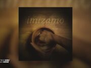 Warren Justin, Tonic Blue & Kelvin Momo – Imizamo ft. Mr Maker, Shane907 & Noklunga Vilakazi