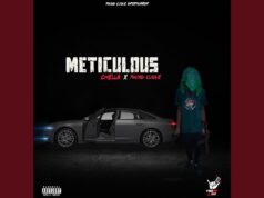 Chella, Young Clique – Meticulous