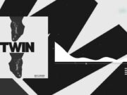 Micky Singer – Twin