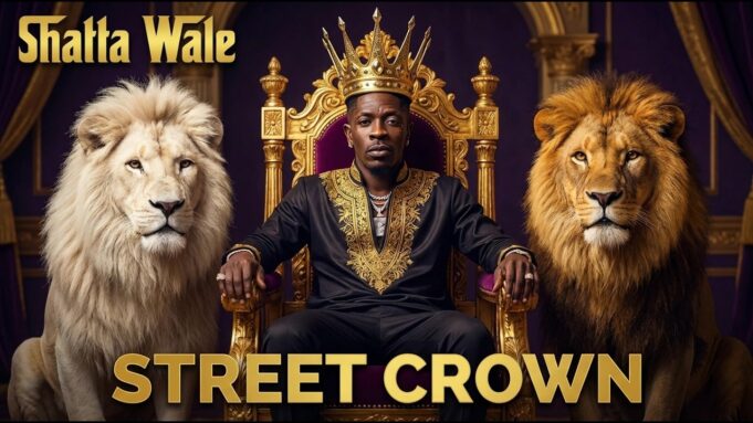 Shata Wale - Street Crown (Afro Cover)