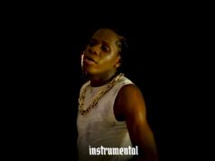 Dogo Rema – Hapo Vp