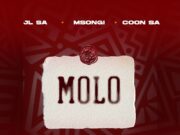 JL SA, Msongi & COON SA – MOLO
