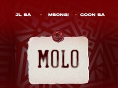 JL SA, Msongi & COON SA – MOLO