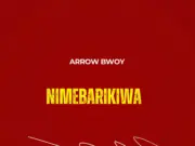 Arrow Bwoy – Nimebarikiwa Arrow Bwoy - Nimebarikiwa