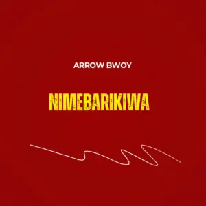 Arrow Bwoy - Nimebarikiwa