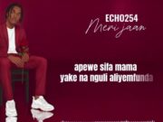 Echo 254 – Meri Jaan