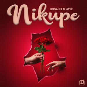 Kusah Ft D Love - Nikupe