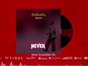 Dakota Mtu Hatari – Never Dakota Mtu Hatari - Never