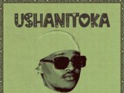 Platform – Ushanitoka Platform - Ushanitoka