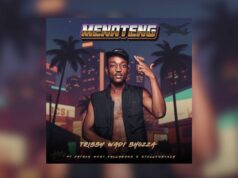 Tribby Wadi Bhozza – Menateng Ft. Patron West, Gallarbass & Stellenbosch