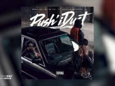 Moozlie & Nomfundo Yekani – Push i Dust