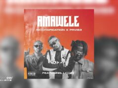 Notafication & PRVIS3 – Amawele Ft Loki.