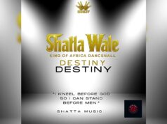 Shatta Wale – Destiny