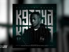 Steve Jay MusiQ – Pause & Play