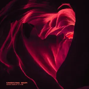 Gogo Ashley & V-BE - Umekuwa Wapi