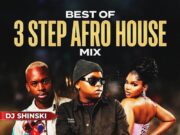 DJ Shinski – 3 Step Mix 2025 Mix