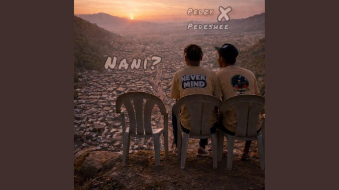Pelzy Never Mind Ft Kamanda pedeshee - Nani