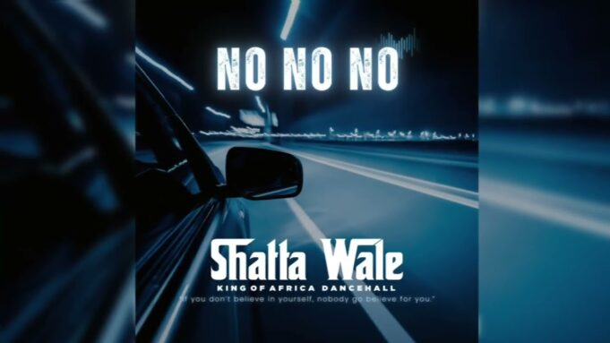 Shatta Wale - No No No