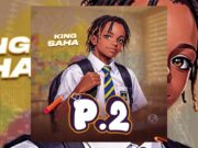 King Saha – P2 King Saha - P2
