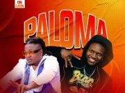 B Classic X Mr Seed – Paloma B Classic X Mr Seed - Paloma