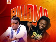 B Classic X Mr Seed – Paloma B Classic X Mr Seed - Paloma