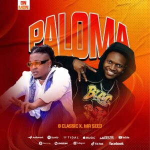 B Classic X Mr Seed - Paloma