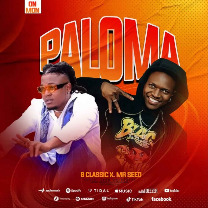 B Classic X Mr Seed - Paloma B Classic X Mr Seed - Paloma
