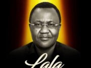 Peter Msechu – Lala Lukuvi Peter Msechu – Lala Lukuvi